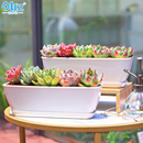 欧林泽花盆植物种植盆办公室桌面专用盆长方形透气塑料小号多肉盆