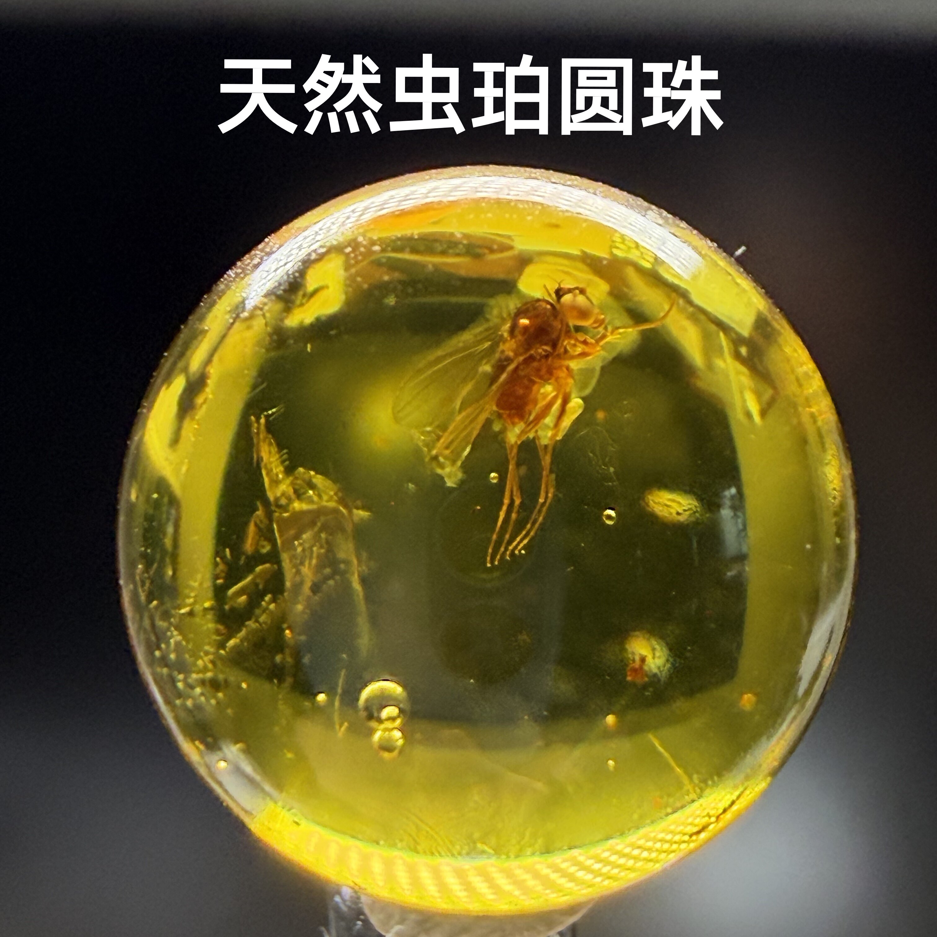 天然琥珀化石虫珀灵珀圆珠科普标本配串单珠吊坠收藏蚊蝇蜘蛛
