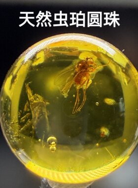 天然琥珀化石虫珀灵珀圆珠科普标本配串单珠吊坠收藏蚊蝇蜘蛛