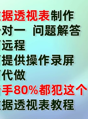 数据透视表教程一对一教学问题解答代做可远程