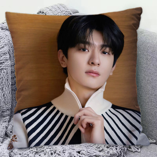 林一周边抱枕女生来图定制枕头学生宿舍靠垫创意应援物闺蜜礼物