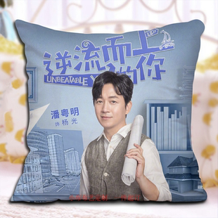 【送枕芯】逆流而上的你电视剧同款抱枕双面明海潘粤马丽报男女朋