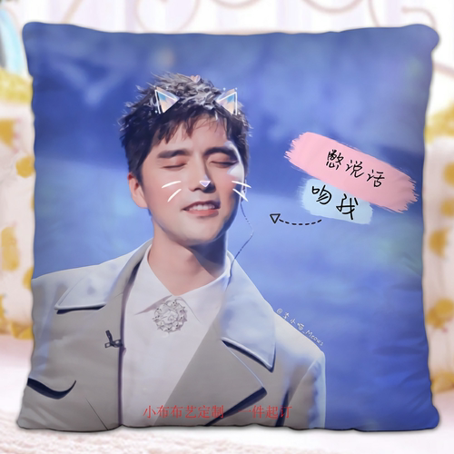【送枕芯】音乐剧定制阿云嘎抱枕生日声入人心郑云龙周边学生王子
