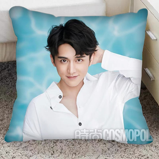 张新成周边抱枕定制人形玩偶沙发宿舍靠腰枕头diy生日礼物玩偶
