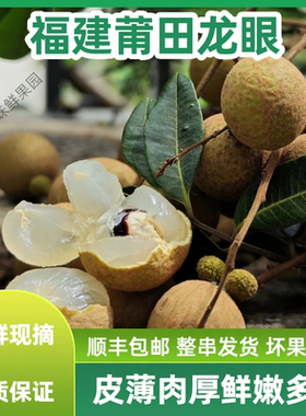 福建莆田龙眼新鲜水果礼盒装