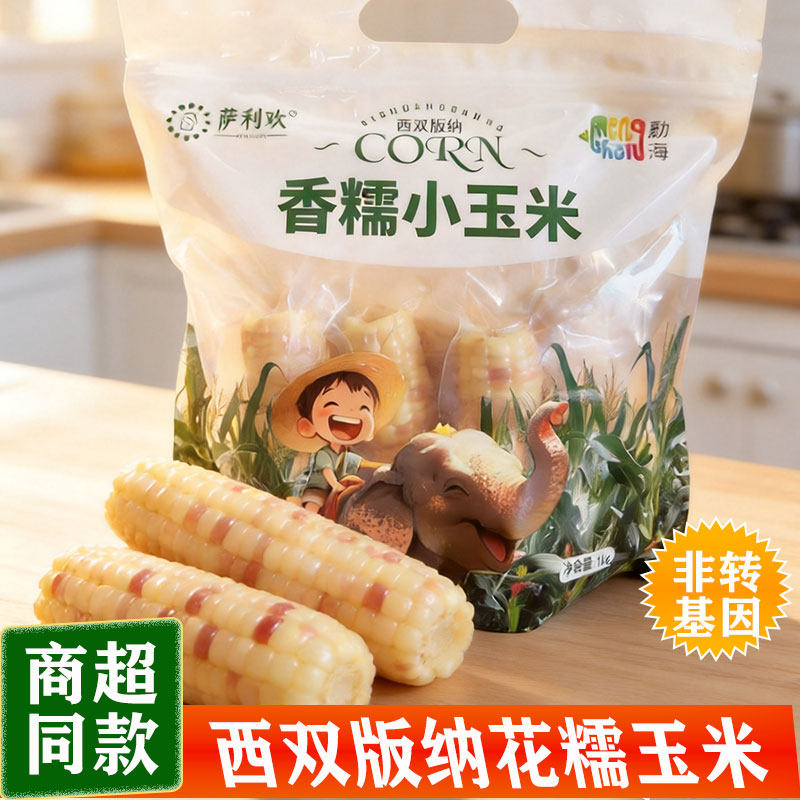 云南西双版纳花糯玉米非转基因