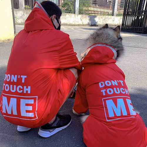 Pet Parent -Child Custom Куртка Пейнкота Водонепроницаемость нелегко придерживаться плюшевой кошки Золотые волосы Аляска