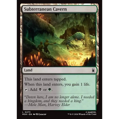 MSH 273 地下世界洞窟 Subterranean Cavern 万智牌 闪 C