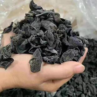 陕南安康石泉黑木耳香菇耳子无根干净干货土特产汉阴汉中