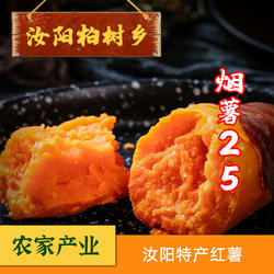 汝阳柏薯香新鲜蜜薯农家香甜薯黄心地瓜糖心小番薯烟薯25红薯5斤