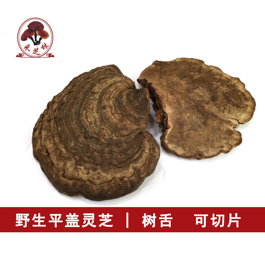 野生平盖灵芝 湖南皂角菌 树舌灵芝 木灵芝 500g包邮可切片