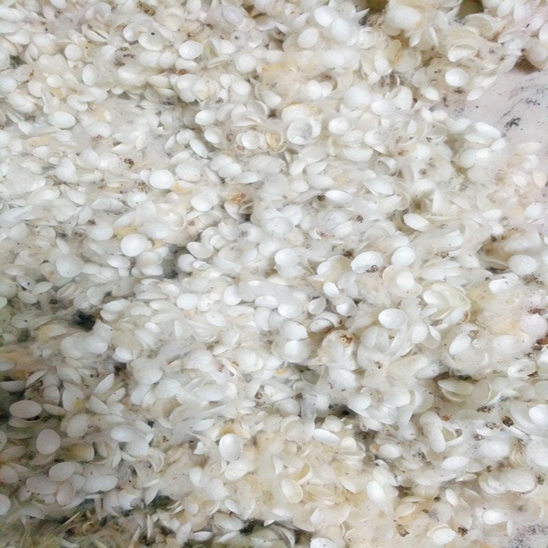 纯天然蚕茧壳，送煮碱粉