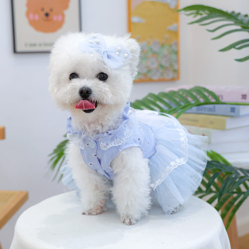 PETCIRCLE宠物圈宠物狗狗猫衣服小型犬幼犬服饰华尔兹纱裙蓝
