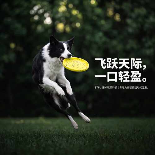 狗狗飞盘彩色斑点人宠互动户外寻回玩具中大型犬消耗体力狗狗玩具
