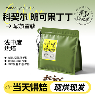 寻豆研究所 班可果丁丁咖啡豆耶加雪菲科契尔精品豆埃塞浅烘咖啡