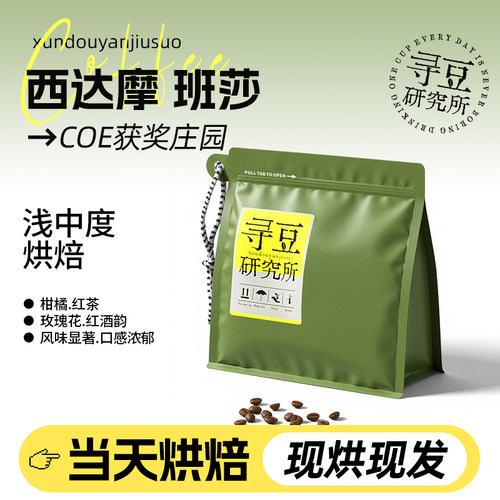 寻豆研究所 西达摩班莎咖啡豆日晒精品手冲soe浅中烘焙现磨咖啡粉