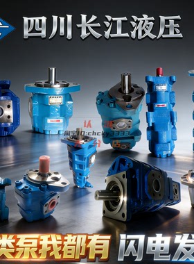 四川长江液压CBY JHP YHP CBH CBG fa 2080 2063 2100 2040 3050