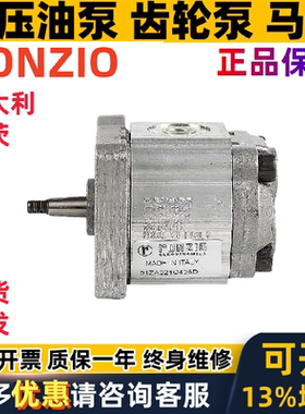 意大利RONZIO液压齿轮泵01ZAG11C401D 01ZAG32C442D 01ZCG42N600D