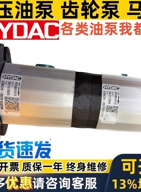 HYDAC双联齿轮泵D38C28-3822FSA9268 D28 D47 D33 D72 D55 C DG