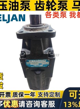印度VELJAN油泵T6GCC-B20-B06-6R02-A1-11 t6ccw T6DC-050 VT6CC