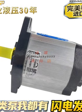 ETTIMA齿轮泵G72V101CCFSAEDACM G55V075CCFSAEBT150DL G72V175FS