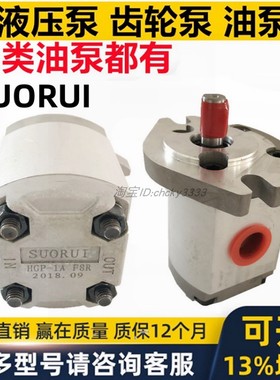 SUORUI齿轮泵HGP- 1A 2A 3A-F 4 5 6 8 12 9 R L RX 2B反转4孔 SR