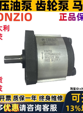 意大利RONZIO液压齿轮泵02ZAG14C033D 02ZCG25L441R 02ZAG06E034D