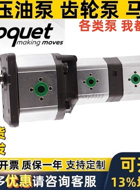 ROQUET齿轮泵1LM27-27 1LM22三联双联1LM 1 PLL PLD PLT N 1LQ1.5