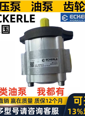 正品德国ECKERLE艾可勒齿轮泵EIPS2-025 EIPS EIPC EIPH 2 3 5 6