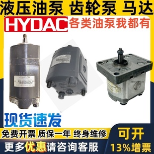 KP1 K0A F30A KP0 HYDAC齿轮泵 4NL1 KM1 25L