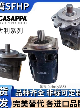 CASAPPA油泵KP20.14D0-82E2-LGE/GD-N KP20. 4 KP20.6.3 KP20.8