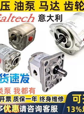 意大利Galtech齿轮油泵1SP-A 1GP100 1GP200 1GP300 2SPA 3sp-a g