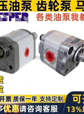 罗马尼亚HESPER赫思博齿轮泵EHTSR- 1.2C 0.2 0.26 0.32 0.4 8 -C