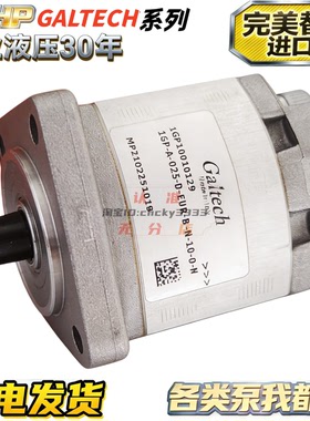 意大利Galtech齿轮泵HC02P000 48 49 50 51 52 99 53 54 55 40 41