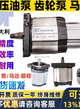 意大利OT齿轮泵PS2007022D PS200 PS100 PS300 OT100 OT200 OT300