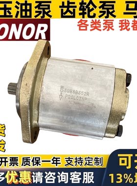 HONOR齿轮泵3GB8B352R 2DG1BP1605R 2DG1AP1111R 1AG1P0SR 01R/02