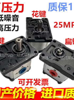 suorui液压齿轮泵CBTs-F306F1Z1R CBTs-F3 04 10 12 14 16 20 25