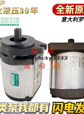 RONZIO泵03ZAG40Q064D 02ZAG25C033D 02ZAG06C034D 03ZAG250064PD