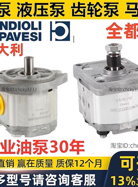 BONDIOLI齿轮泵HPLPA214SMNG6G4BHY HPLPA206 208 211SMNG4G4BHY