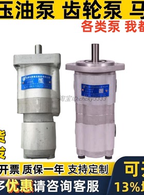 合肥长源双联泵CBWLN-F308/F10-CLPL CBWL-E310/E310/E320/F312