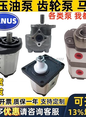 JANUS齿轮泵BKP1Q0-D BHP2.5A HGP BAP 1A 2A 3A  2.5 3.5 25 4