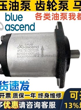 BLUE ASCEND齿轮泵DKP APM AP30.170/220/270/320/340/380/430R