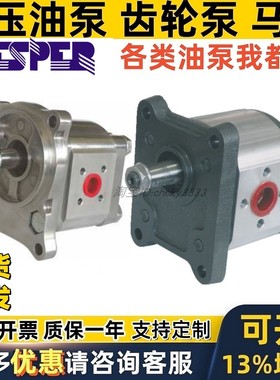 罗马尼亚HESPER齿轮泵HP2- 4 4.5 5.5 6.3 8.2 11.3 14 16 19 -A