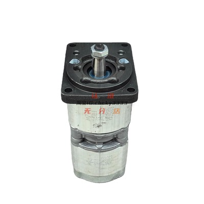 德国Rexroth力士乐双联齿轮泵R979 103 316 17W17-7362油泵马达