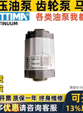 S ETTIMA油泵GR28-10cc G28V 3.5CC 012 013CC F1LAGL 54DGA 74D