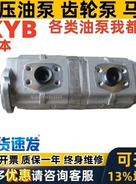 KYB齿轮泵TP20250-250CZ KFP4140 KFP3260 KRP4-14-12AN KP05REAR