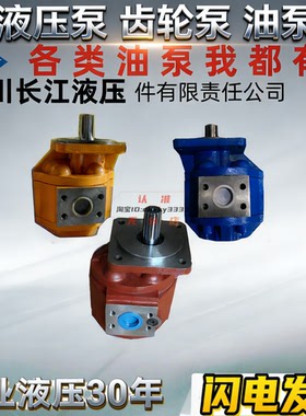 四川长江液压齿轮泵GSA3080-3050-C4R GSA3063 3100 GPC4-32 63