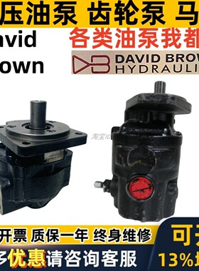 David Brown液压齿轮泵S1A SIA 40 50 32 42 85 53 63 P2AP PC19