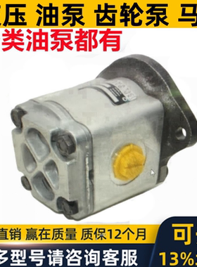 液压齿轮泵油泵马达船上用泵AL16L36006 AL16L30574 非标定制泵