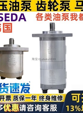 ASEDA齿轮泵SAP20D31X2RS1 SAP20D SAP-10D 20T 20D -16 20 8双联